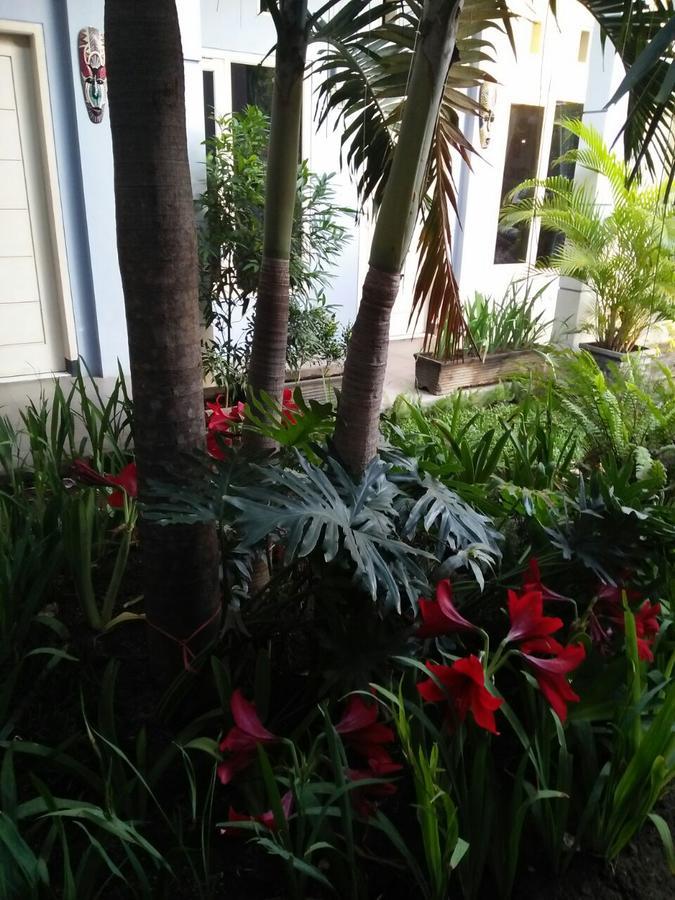 Clover Homestay Probolinggo Exterior foto